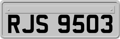 RJS9503