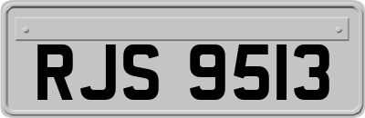 RJS9513