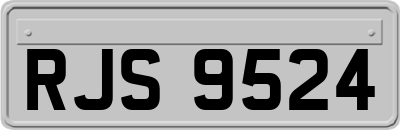 RJS9524