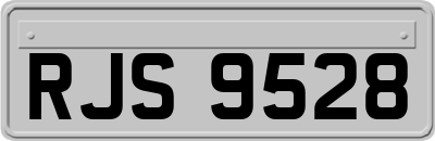 RJS9528