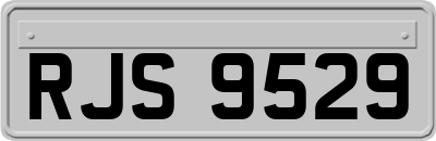 RJS9529