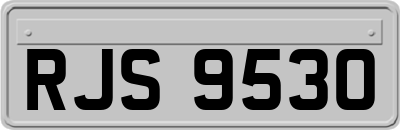 RJS9530