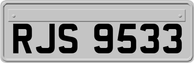 RJS9533