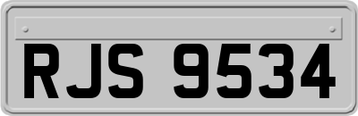 RJS9534