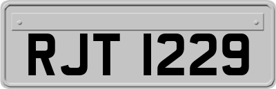 RJT1229