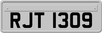 RJT1309