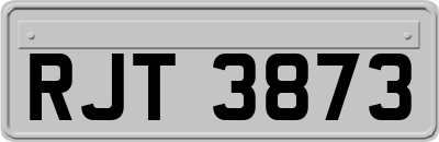 RJT3873