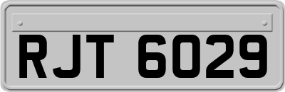 RJT6029