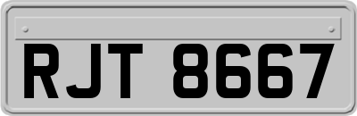 RJT8667