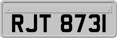 RJT8731