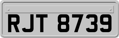 RJT8739