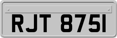 RJT8751