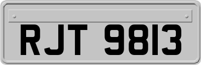 RJT9813