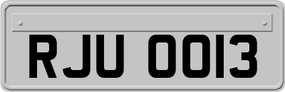 RJU0013