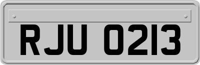 RJU0213