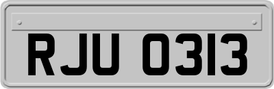 RJU0313