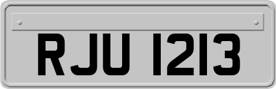 RJU1213