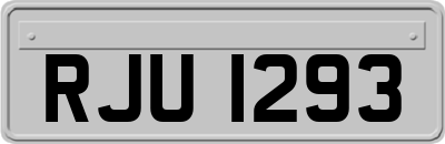 RJU1293