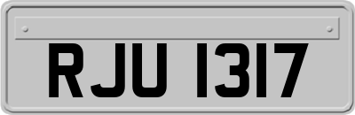 RJU1317