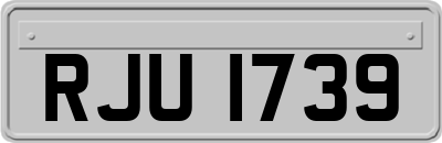 RJU1739