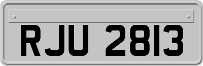 RJU2813