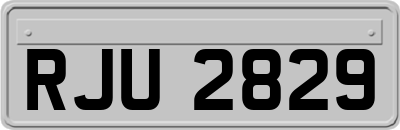 RJU2829