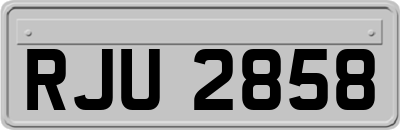 RJU2858