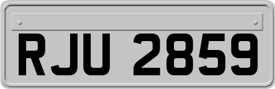 RJU2859