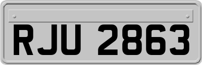 RJU2863