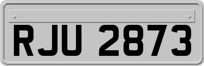 RJU2873