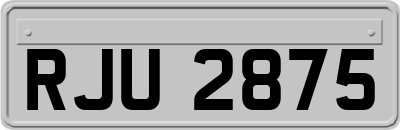 RJU2875