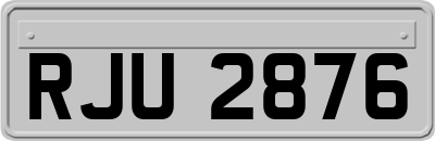 RJU2876