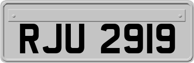 RJU2919