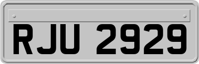 RJU2929