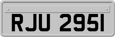 RJU2951