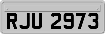 RJU2973