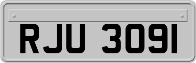 RJU3091