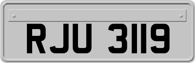 RJU3119