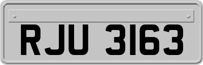 RJU3163