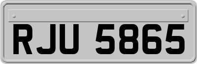 RJU5865