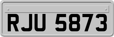 RJU5873