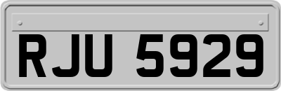 RJU5929