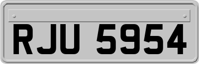 RJU5954