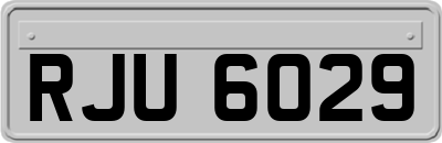 RJU6029