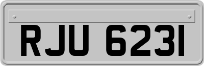 RJU6231