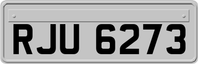 RJU6273