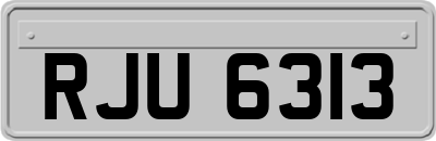 RJU6313