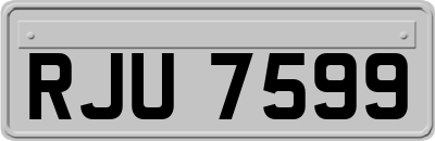 RJU7599