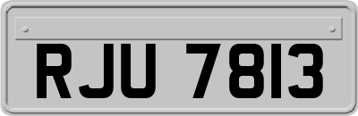 RJU7813