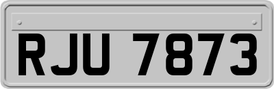 RJU7873